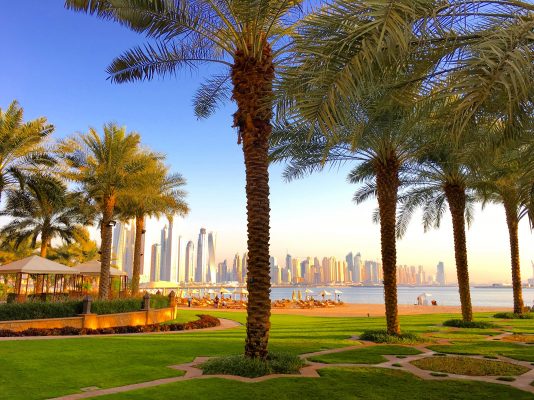 Business Licences in Dubai grow up to 58% compared to 2021.